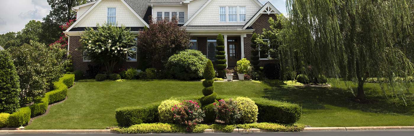 Tree Shrubs Organic Lawn Care, Weed Control, and Crabgrass Control- Montgomery County MD