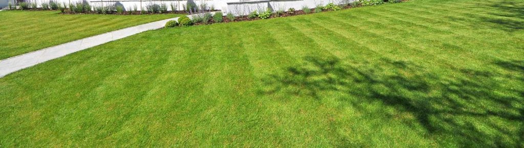 Eco-friendly Lawn Care, Weed Control, and Crabgrass Control- Montgomery County MD