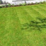 Eco-friendly Lawn Care, Weed Control, and Crabgrass Control- Montgomery County MD